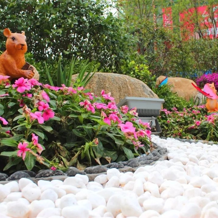 http://ngunbn.cn/data/images/case/20200113165758_669.jpg
